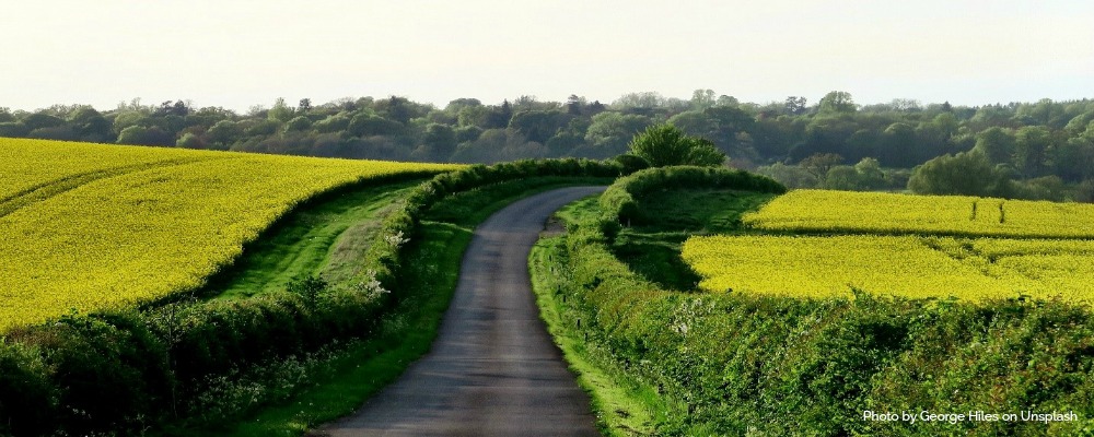 Career Path Clarity Workshop